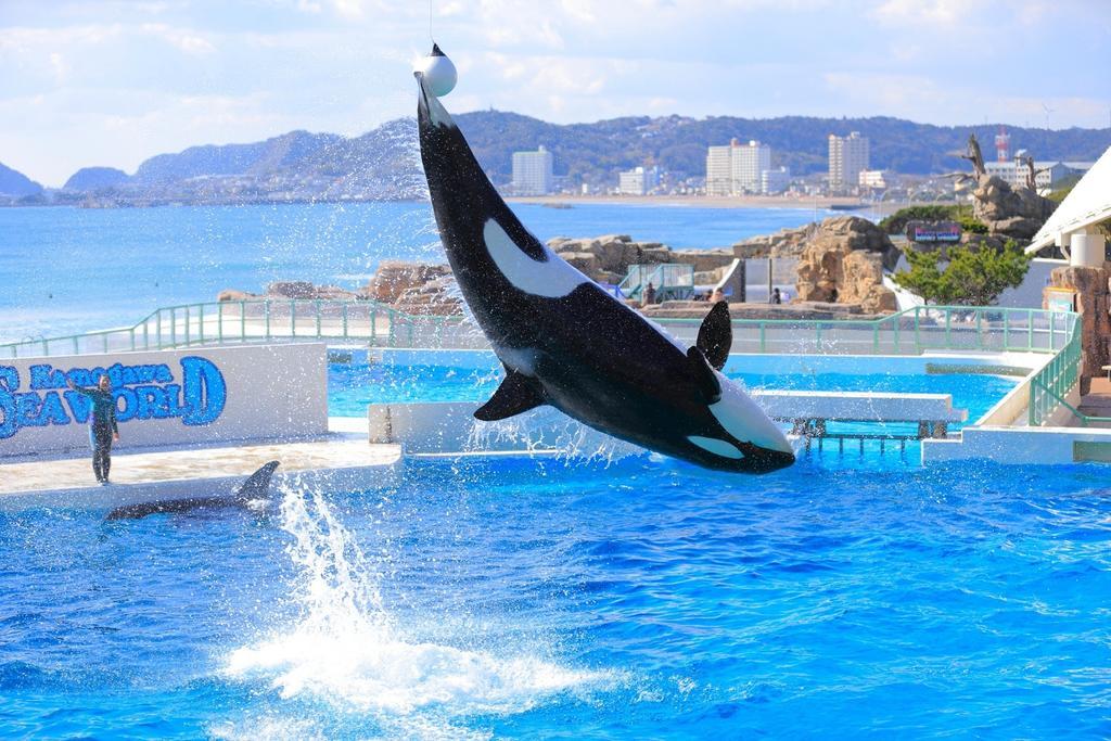 Kamogawa Sea World Hotel Esterno foto