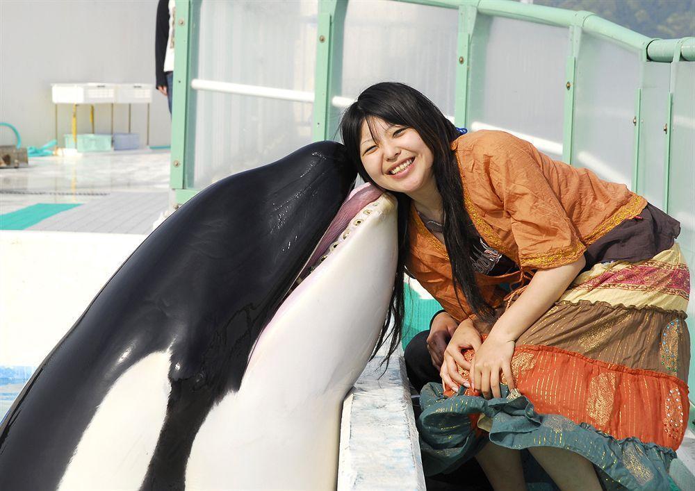 Kamogawa Sea World Hotel Esterno foto