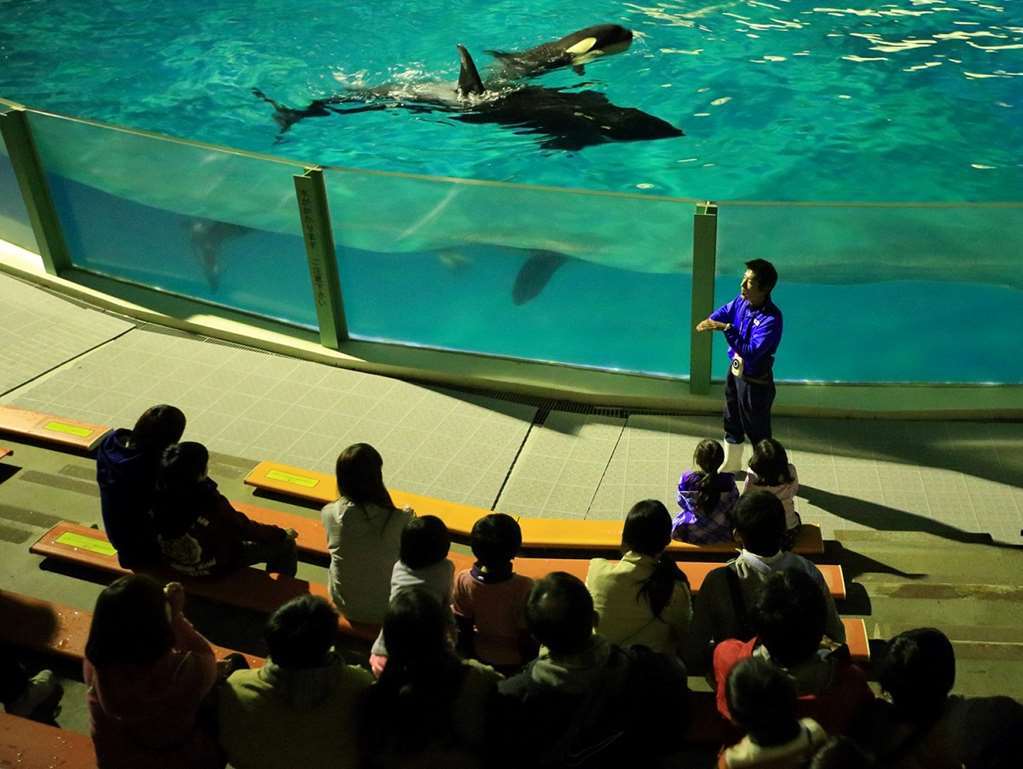 Kamogawa Sea World Hotel Servizi foto