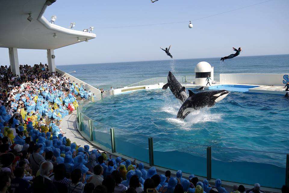 Kamogawa Sea World Hotel Servizi foto