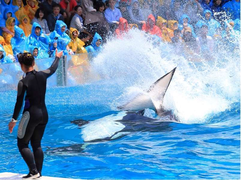Kamogawa Sea World Hotel Servizi foto